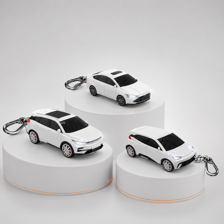 BGK compatible with BYD
