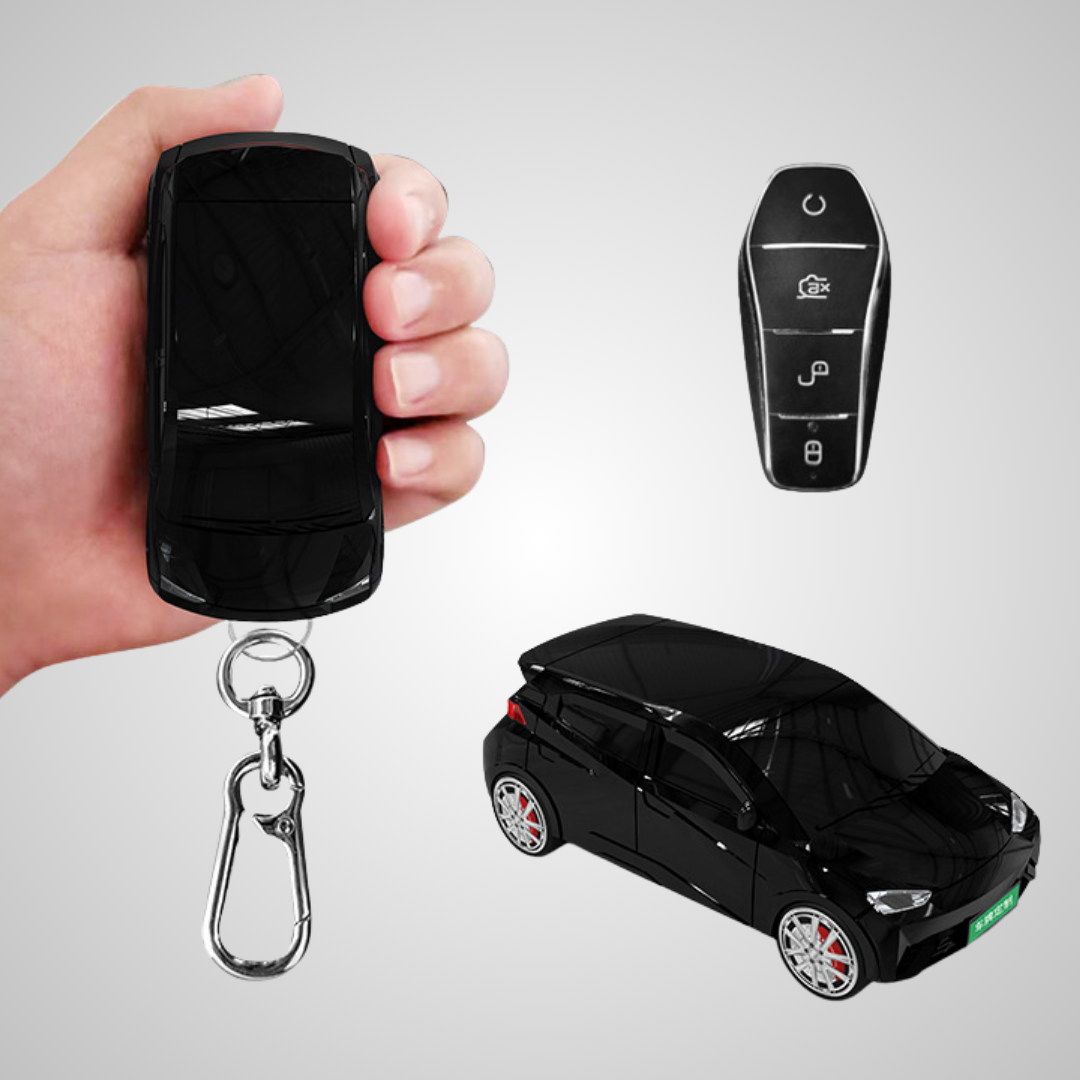 BlazeGuard Key – Compatible con BYD Seagull (BYD-8)