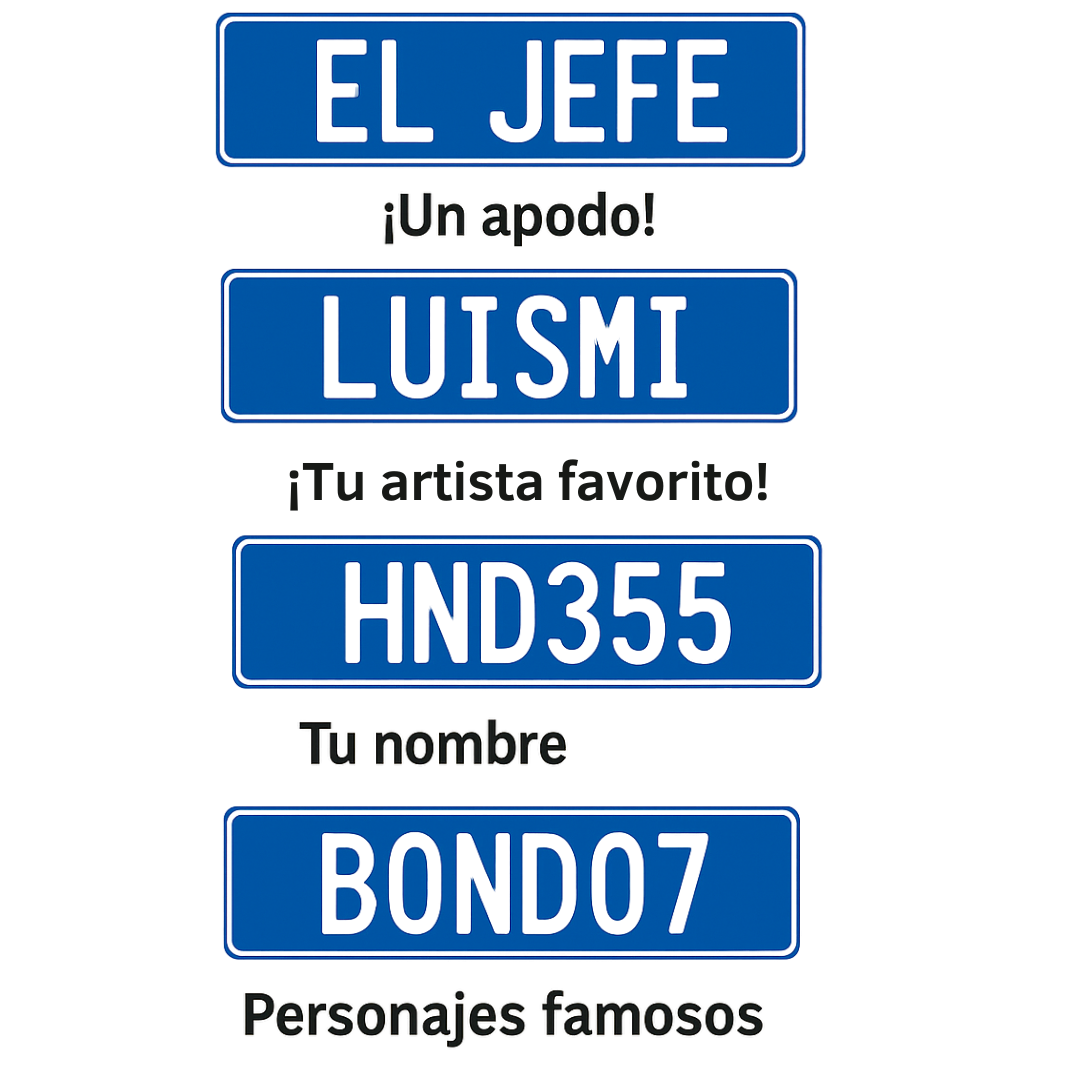 Personaliza la placa de la funda de tu auto miniatura